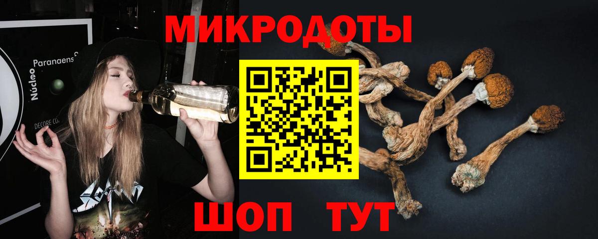 Гудермес  Галлюциногенные грибы Magic Shrooms  Вход с VPN 